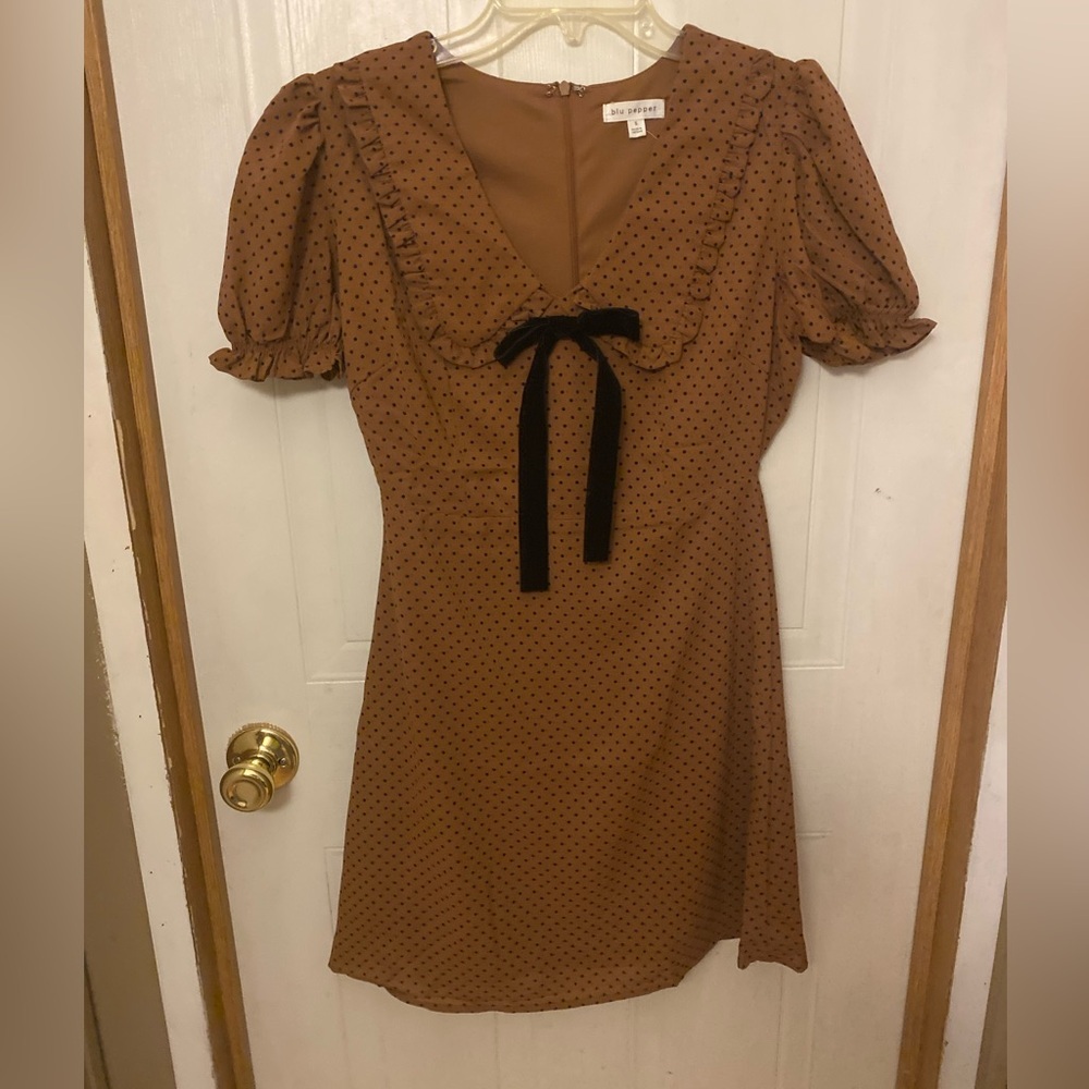 NWT Blu Pepper Brown Polka Dot Mini Dress with Black Velvet Bow/Peter Pan Collar